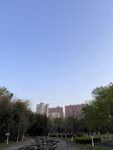 城市
