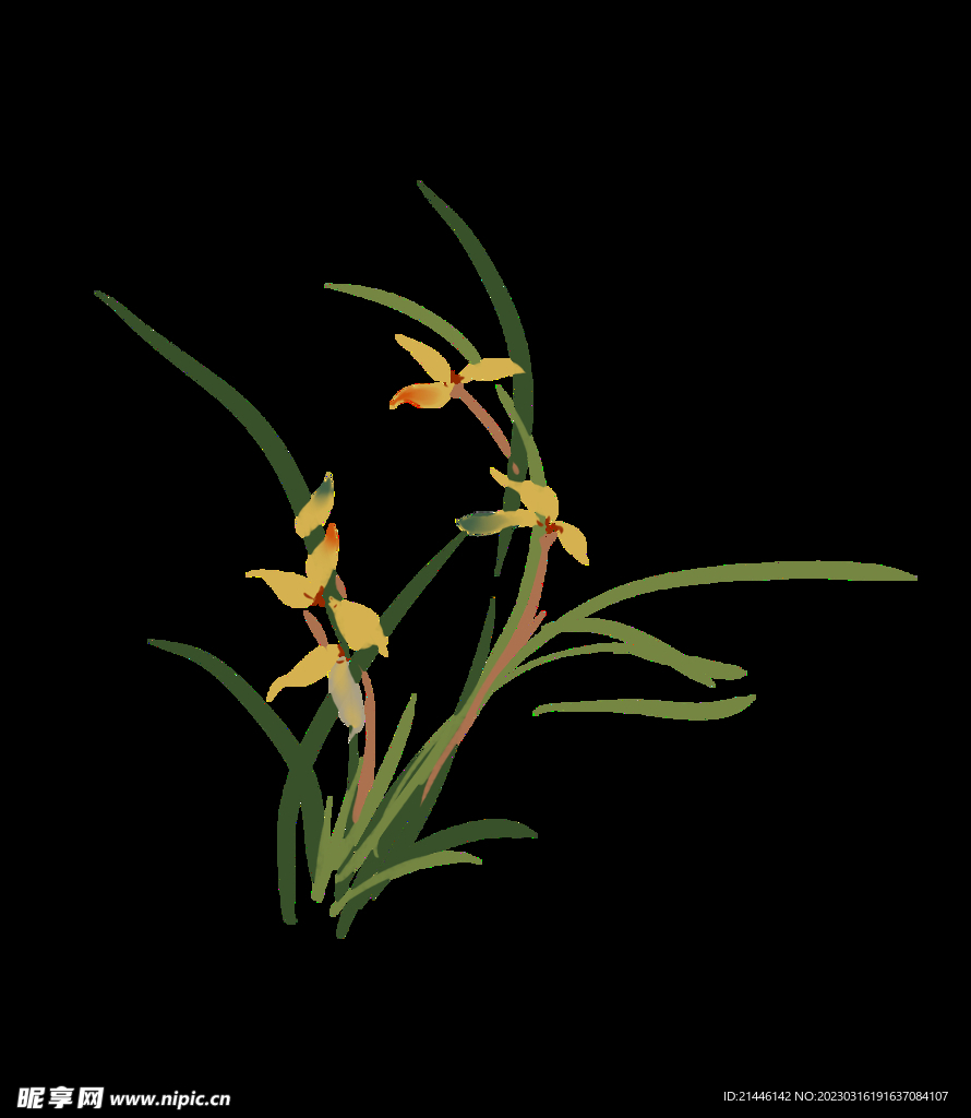 手绘花卉