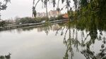 雷州西湖