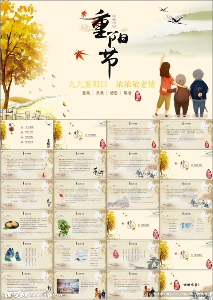 重阳节节日