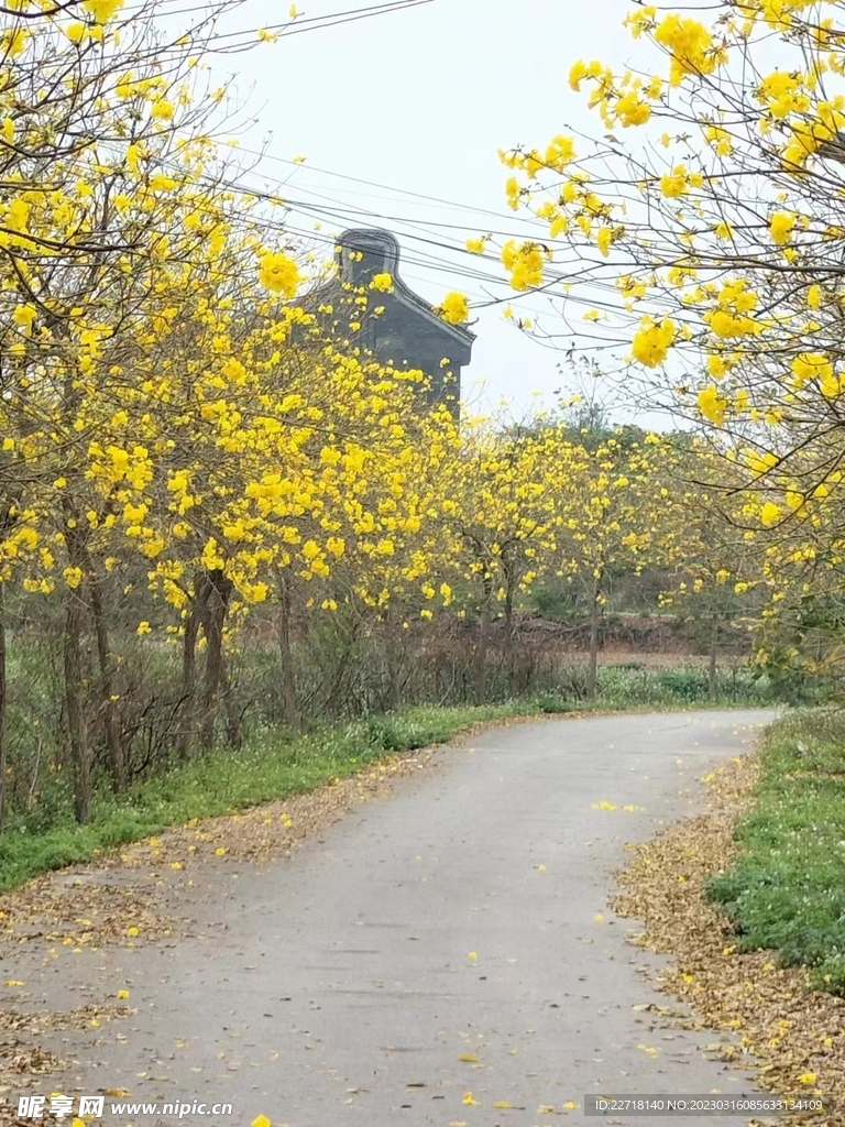 乡间小路