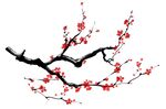 梅花