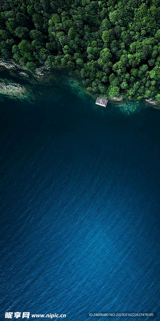 海面 海边