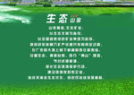 山东黄金 四金