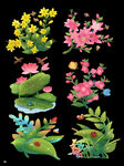 植物合集