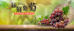 水果海报           