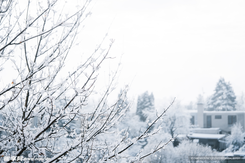 冬季雪景摄影图__自然风景_旅游摄影_摄影图库_昵图网