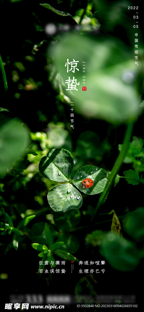 地产惊蛰海报