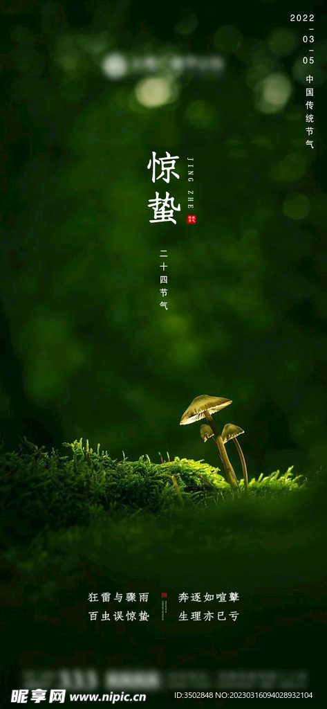 地产惊蛰海报