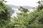 茶山