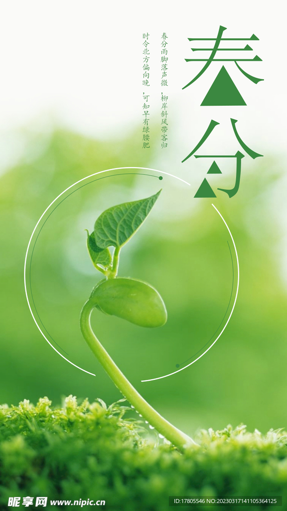春分海报 二十四节气 微信朋友