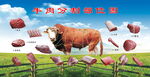 牛肉分割部位图