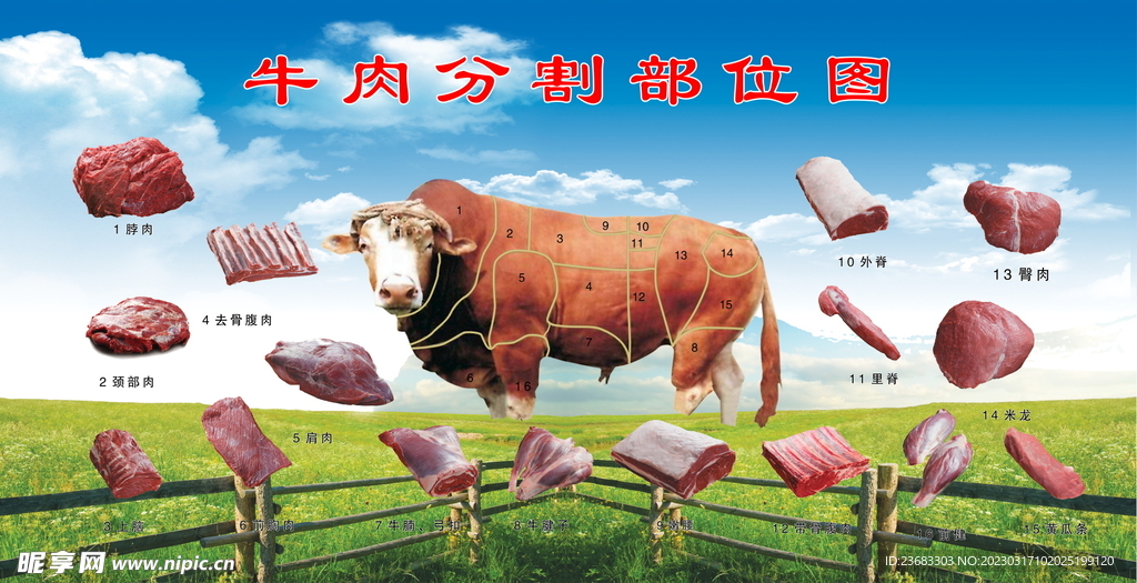 牛肉分割部位图