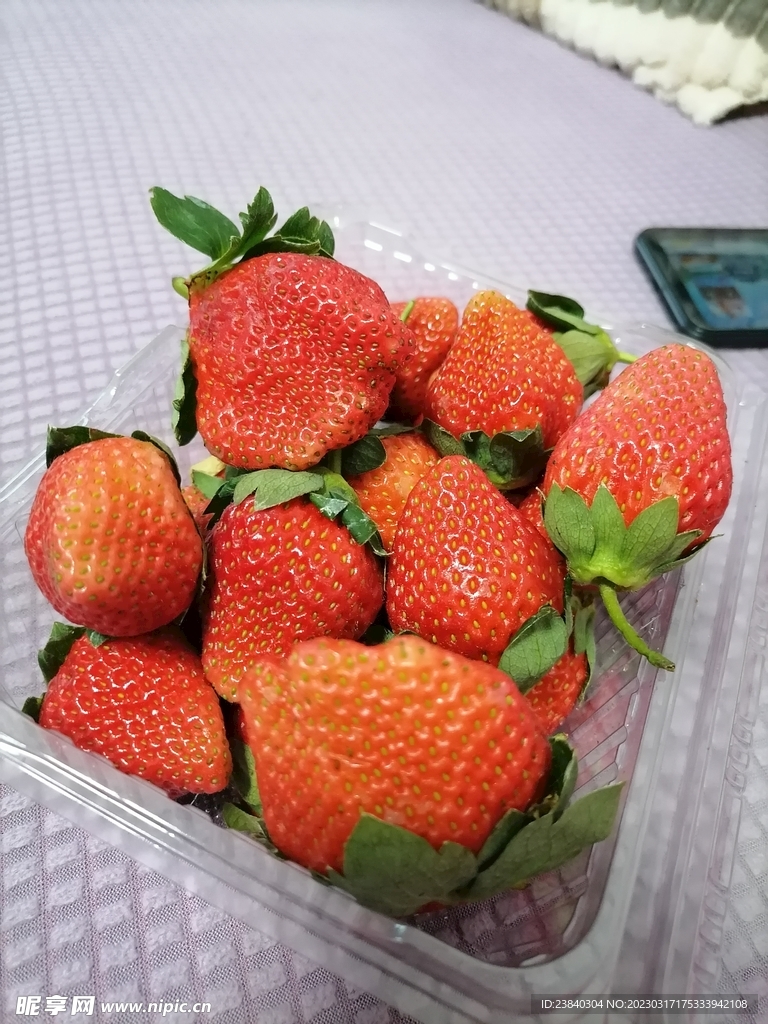 草莓