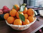 新鲜沃柑
