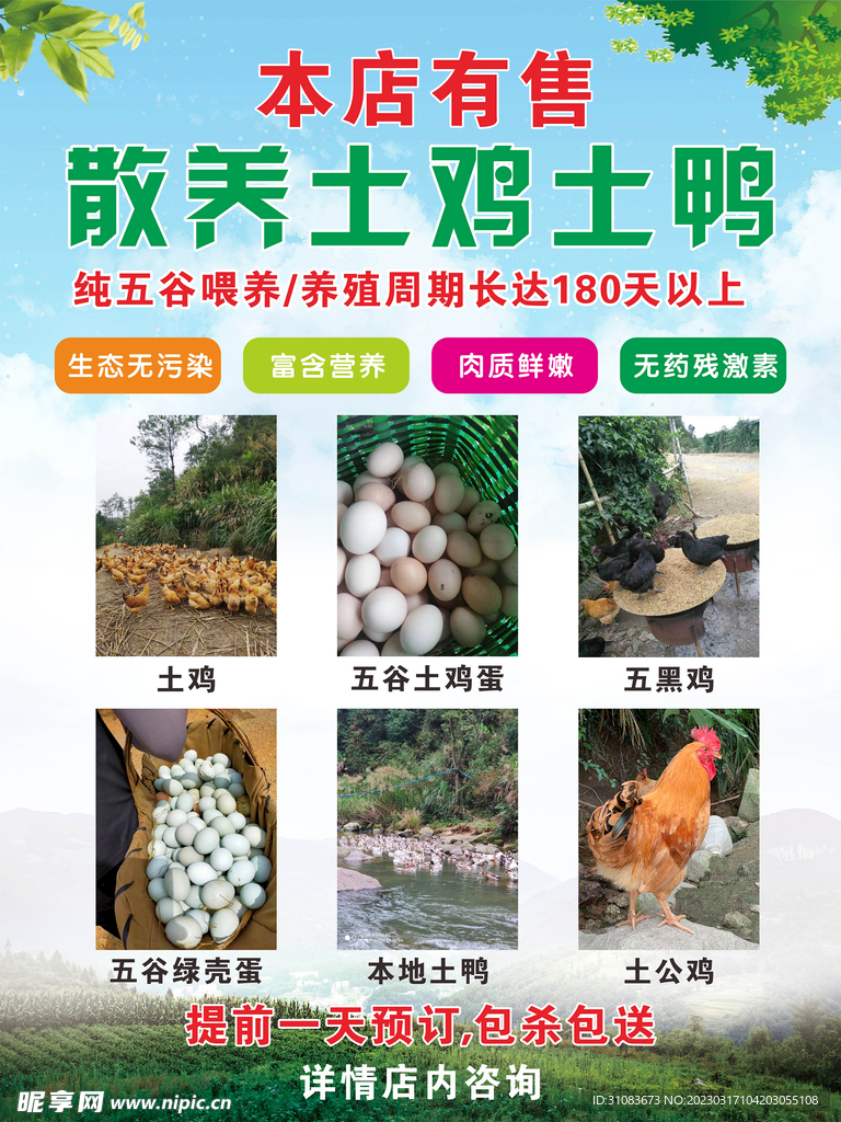 土鸡土鸭广告设计