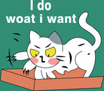 猫