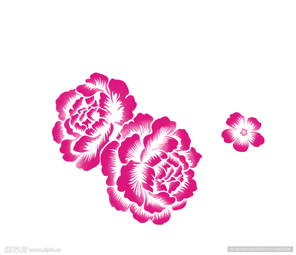 牡丹