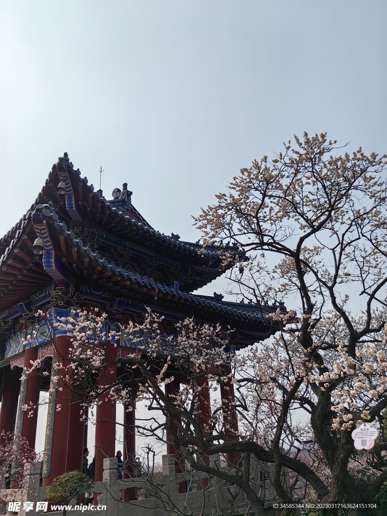 梅花山
