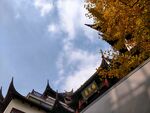 畅熙楼一角