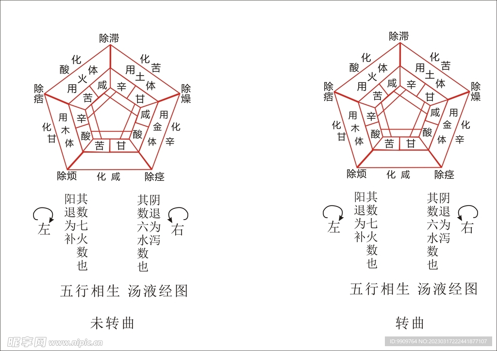 中药五行相生图