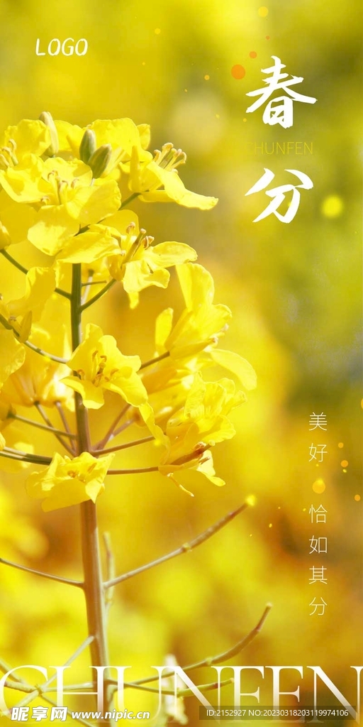 中国传统节日二十四节气海报春分