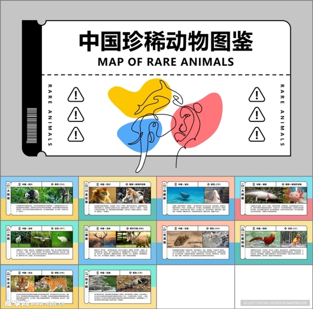 国际珍稀动物保护日ppt