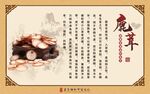 鹿茸展板