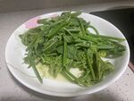 上汤扶手瓜苗