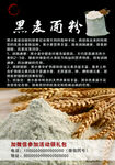 黑麦