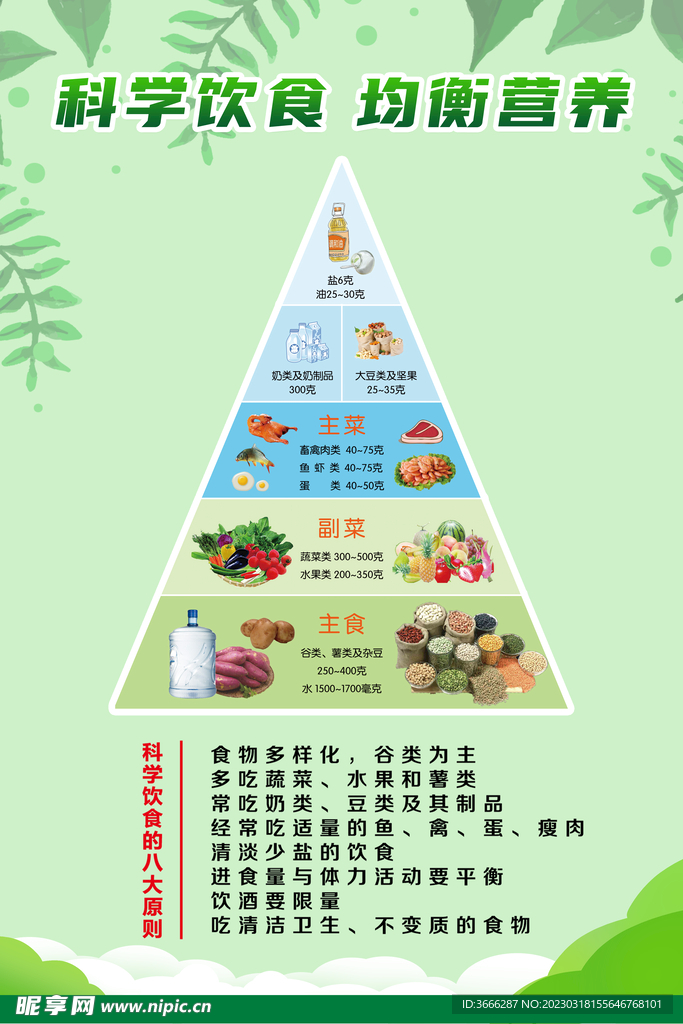 营养均衡 食物金字塔