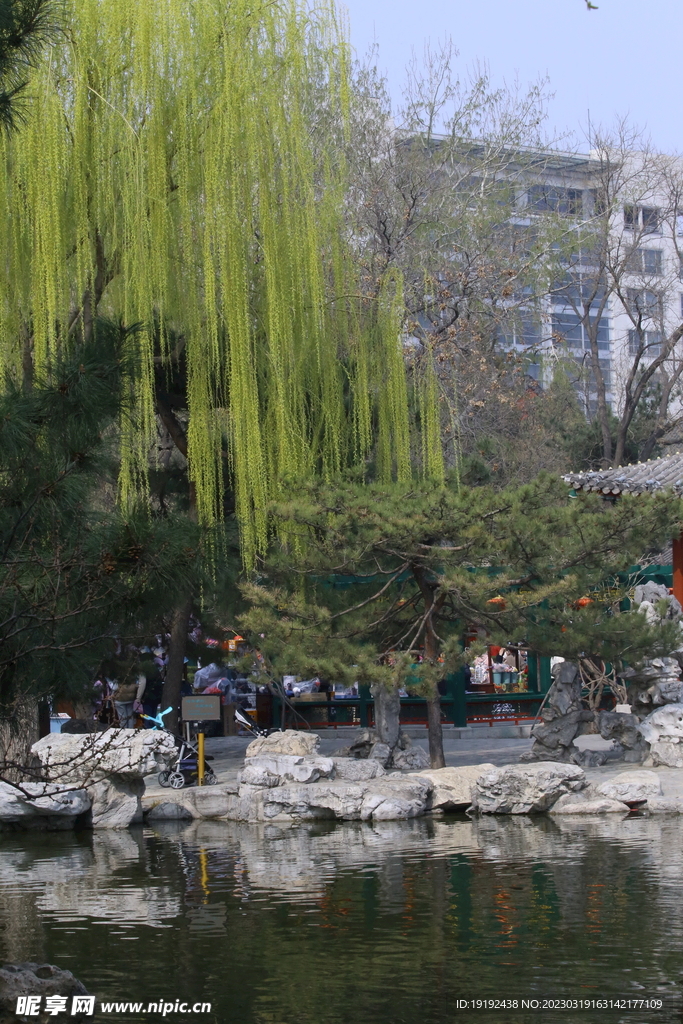 大观园风景 