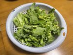 蔬菜原料