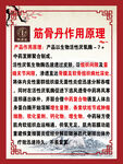 筋骨丹作用原理