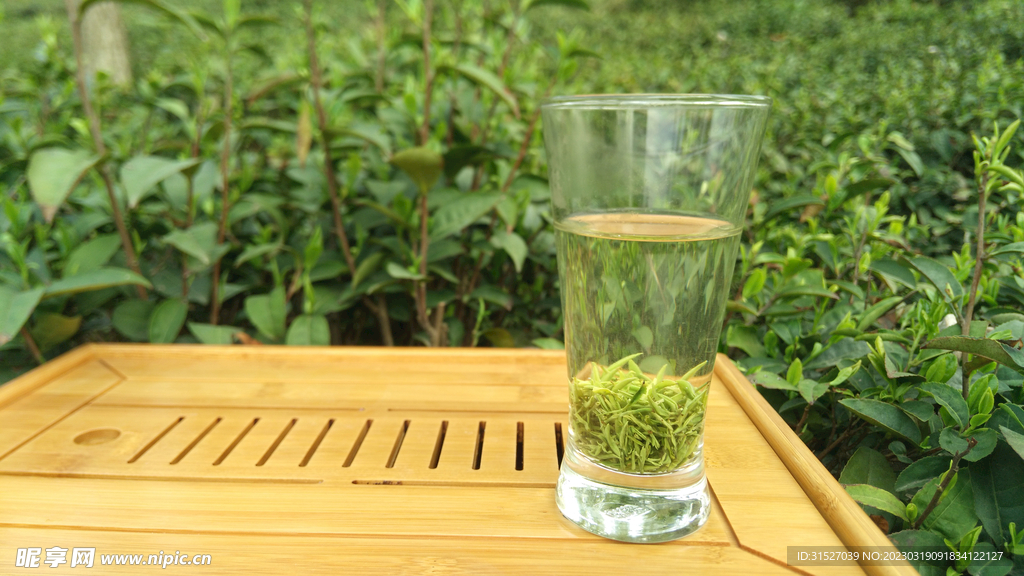 玻璃杯的绿茶摄影