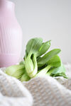 上海小白菜