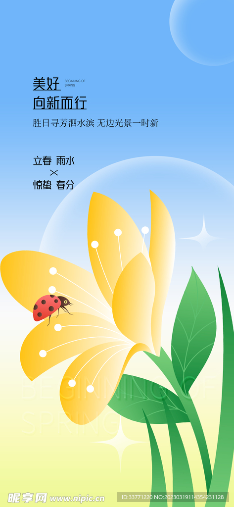 清新植物海报