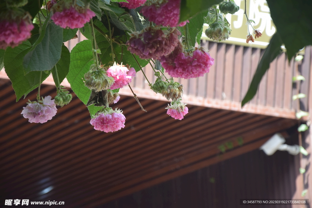 花