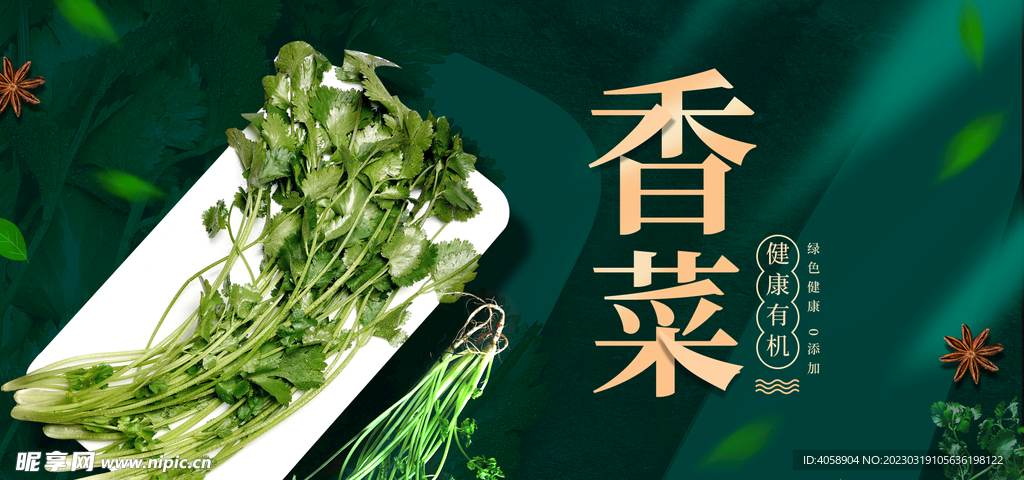 香菜