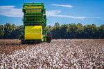 农业机械收割棉花