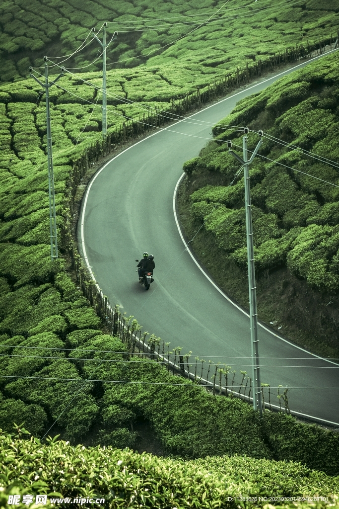 旅行公路风景