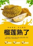 榴莲海报