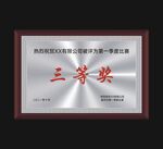 银色奖牌