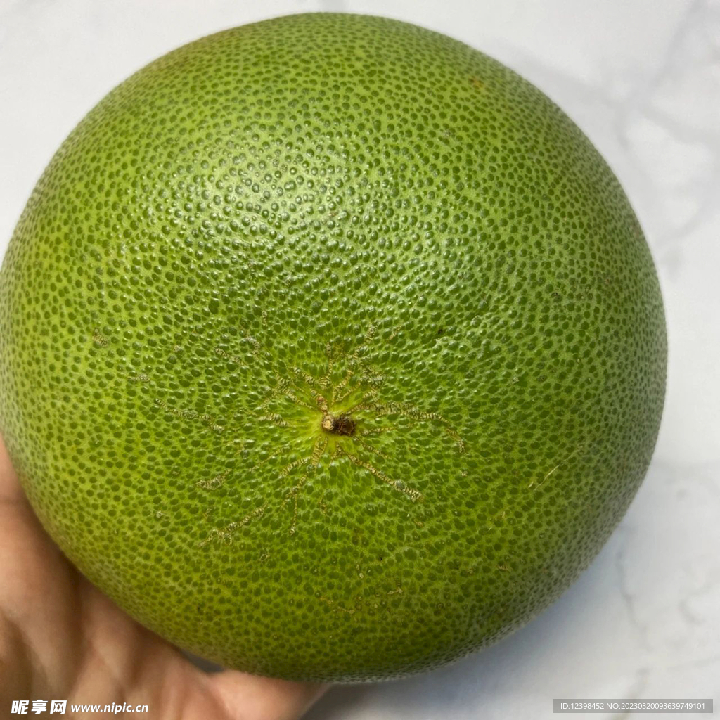 青柚