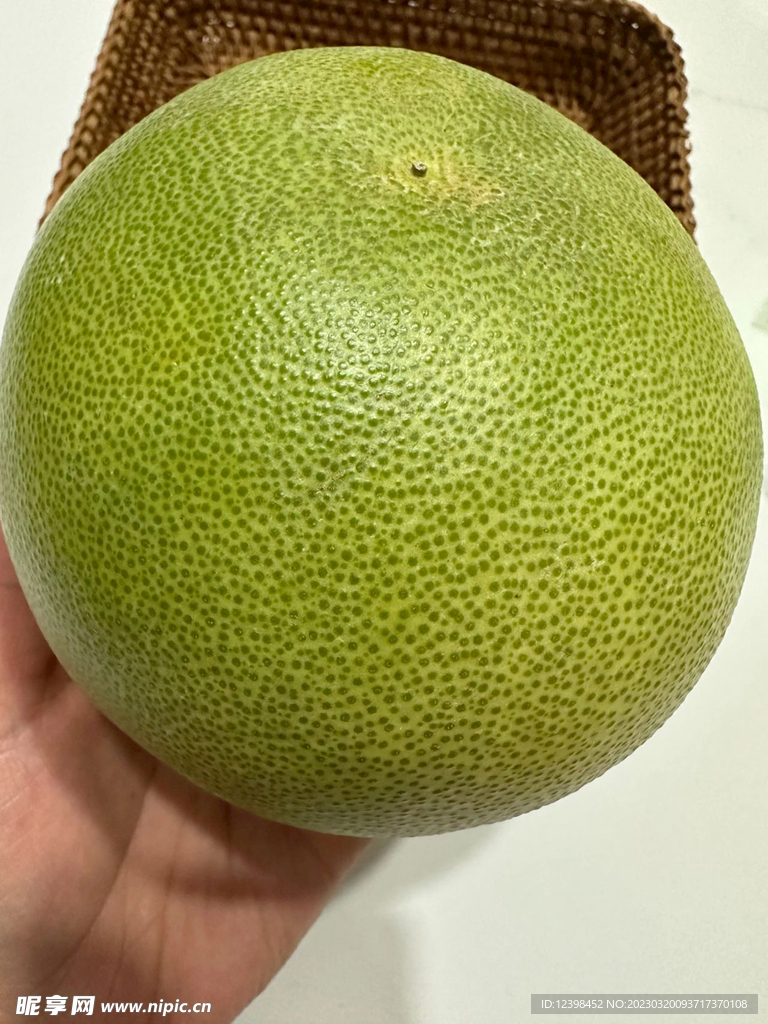 青柚