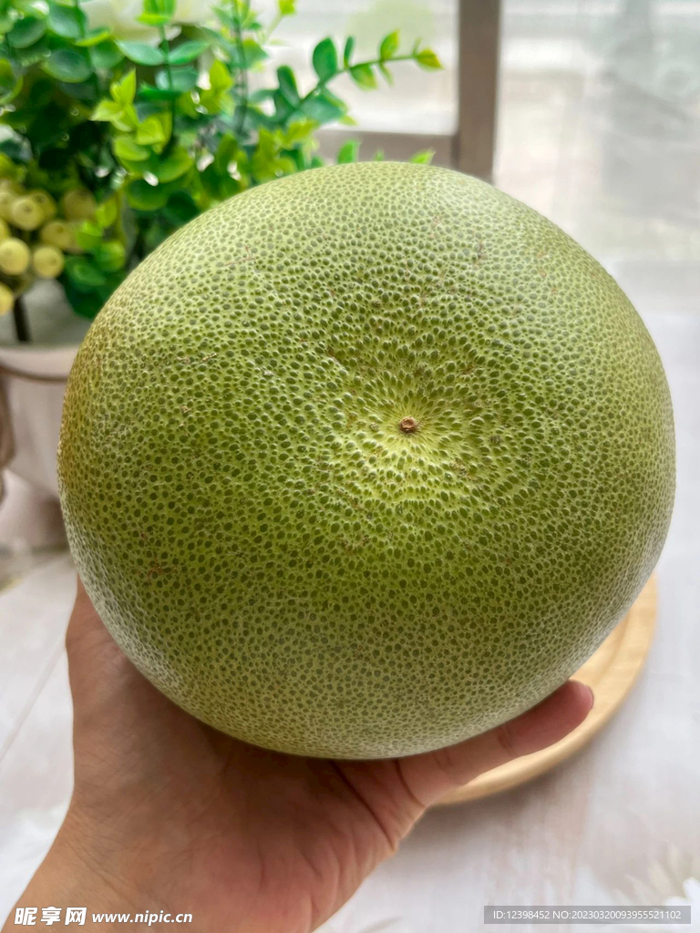 青柚