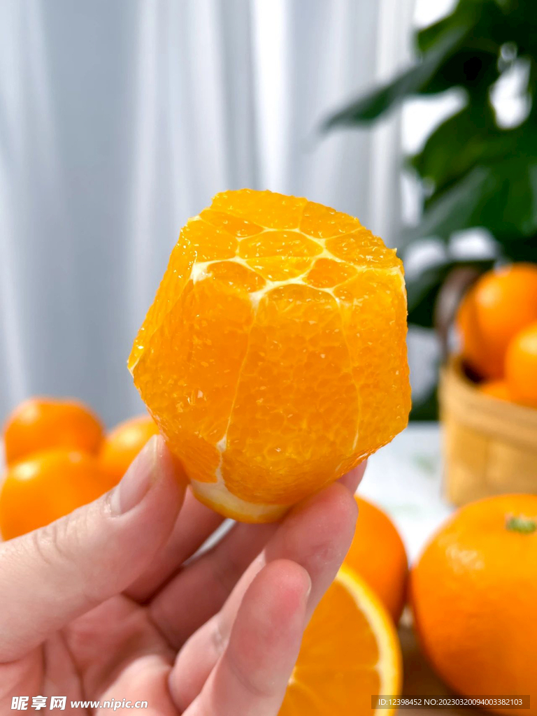 脐橙