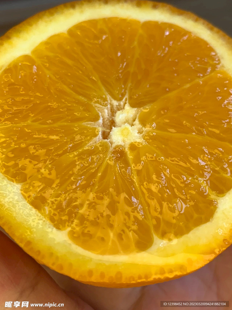 脐橙
