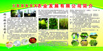 公司介绍