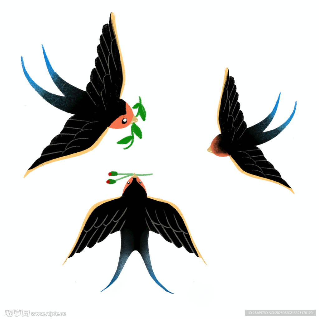 燕子